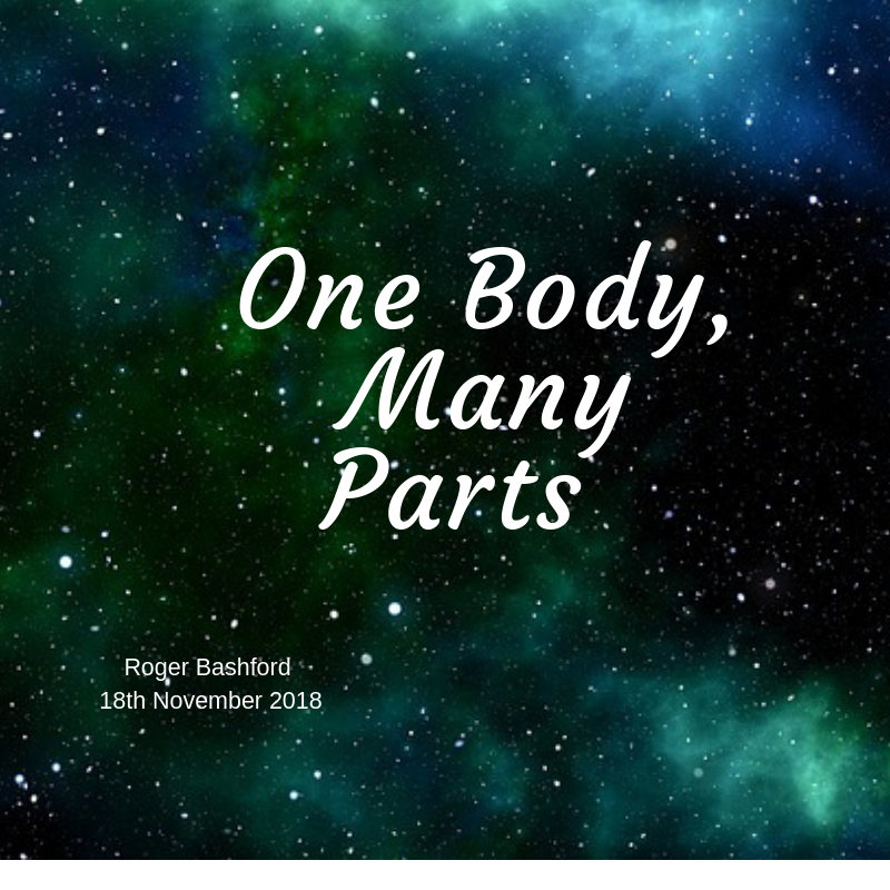 2018 11 18 One Body - Many Parts